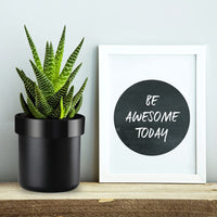 Flowerpot Hidden Safe - product image 6