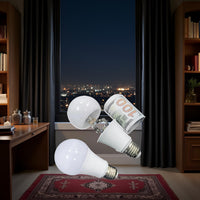 Light Bulb Diversion Safe - product image 3