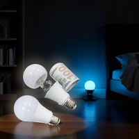 Light Bulb Diversion Safe - product image 4